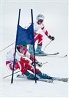 Alpine Skiing, Parallel Giant Slalom, Nation Team Event, 18. 2. 2011